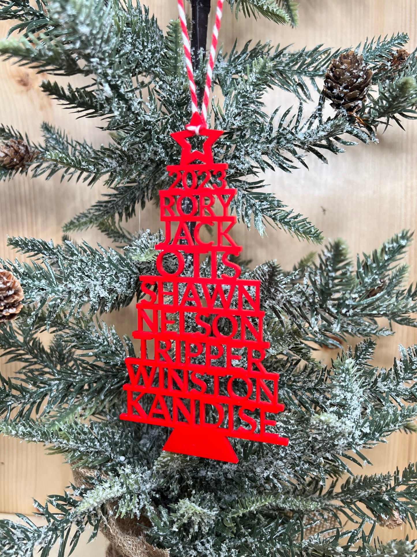 A red Christmas tree ornament with stacked family names hangs on a frosted pine tree.